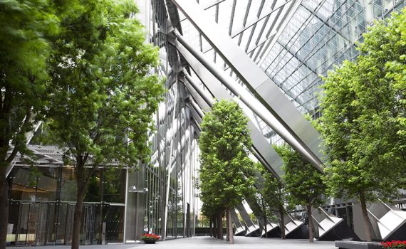 El papel de la naturaleza en la arquitectura