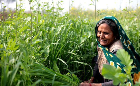 Mujeres rurales, indígenas y afrodescendientes protagonizan campaña de la FAO