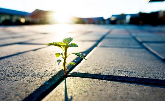 Las empresas buscan nuevas formas de hacer el cemento más sostenible