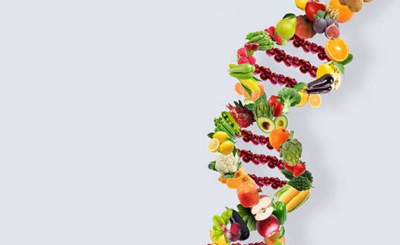 Investigación sobre el origen y la composición del melón