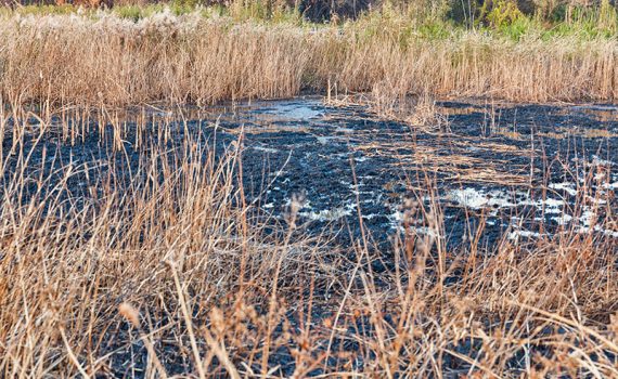 La pérdida de biodiversidad podría alcanzar un máximo histórico