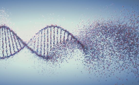 Un nuevo estudio explora los posibles beneficios y preocupaciones de los nuevos alimentos y tecnologías