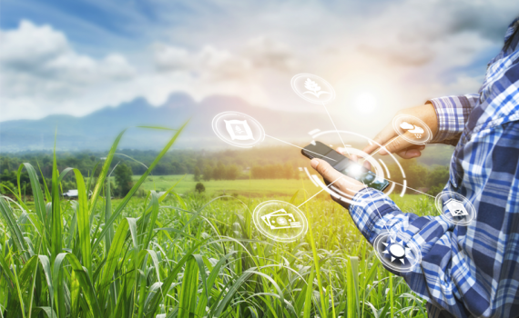 Pinterest introduce la prohibición de la desinformación sobre el clima en su plataforma