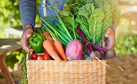 Ahorra algo de dinero este verano plantando tu propio jardín