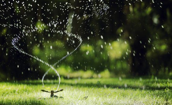 Para controlar la sequía, Nevada (EE. UU.) prohíbe el césped decorativo