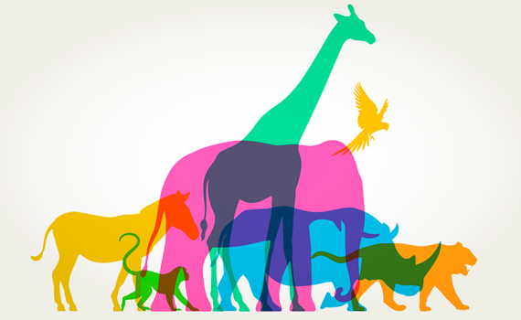 Las especies populares se enfrentan a la extinción