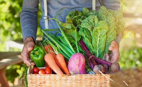 FAO propone un nuevo concepto para contabilizar los costos de los sistemas alimentarios