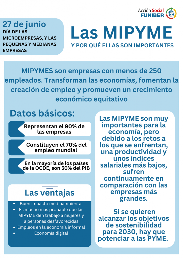 inforgraphic-para-dia-del-micro-empresas