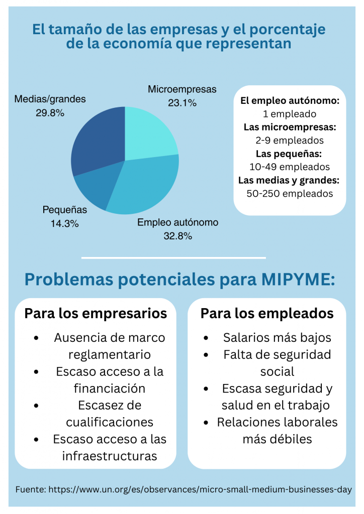 inforgraphic-para-dia-del-micro-empresas-uno