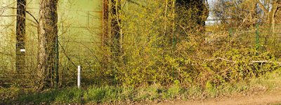 GettyImages-1139703146-copia