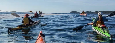 gettyimages-523419044-612x612-1