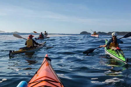 gettyimages-523419044-612×612-1