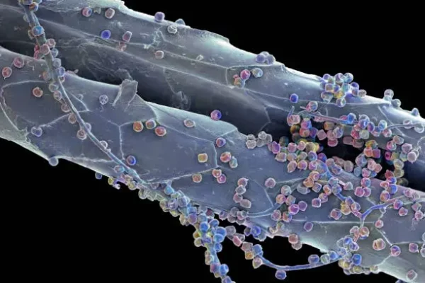 Microplásticos y riesgo de cáncer: qué sabemos hasta ahora