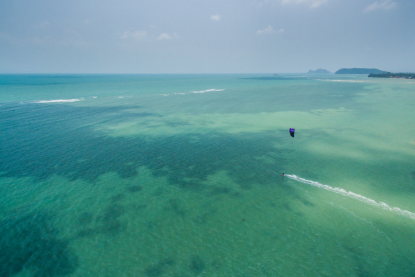 Tratado de Alta Mar: un hito para la salud y la gobernanza de los océanos
